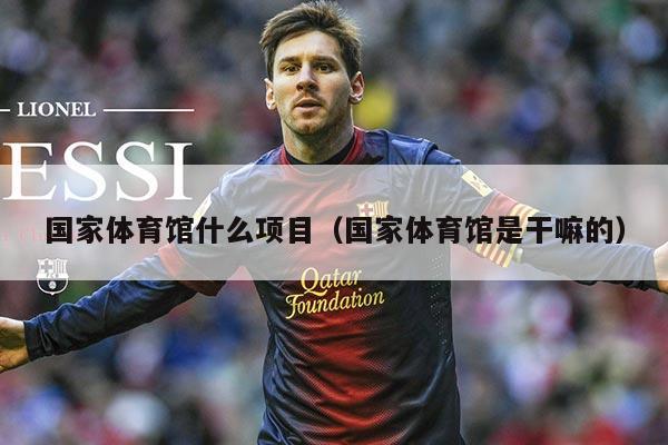 国家体育馆什么项目（国家体育馆是干嘛的）