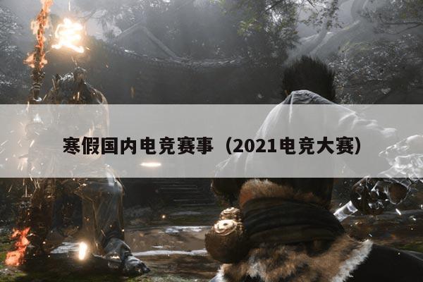 寒假国内电竞赛事（2021电竞大赛）