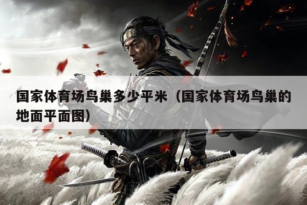 国家体育场鸟巢多少平米（国家体育场鸟巢的地面平面图）