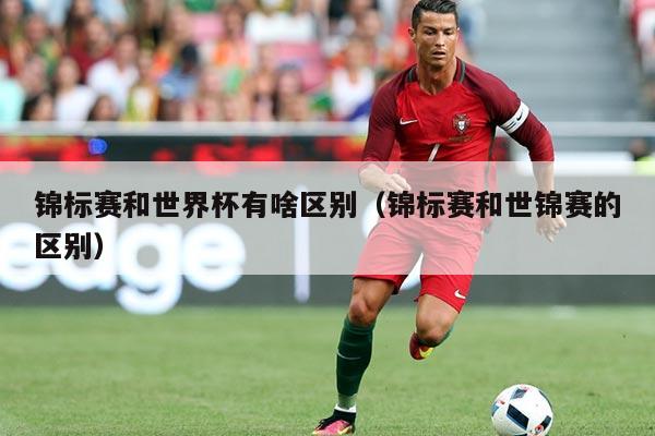 锦标赛和世界杯有啥区别（锦标赛和世锦赛的区别）